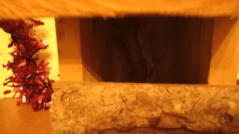 Bird box large size new suit robins £10