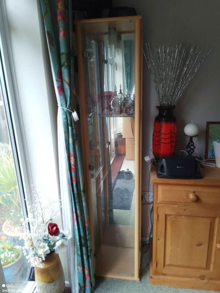 Wooden Display Cabinet with Glass Door - Good Condition