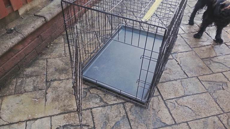 Dog crate 