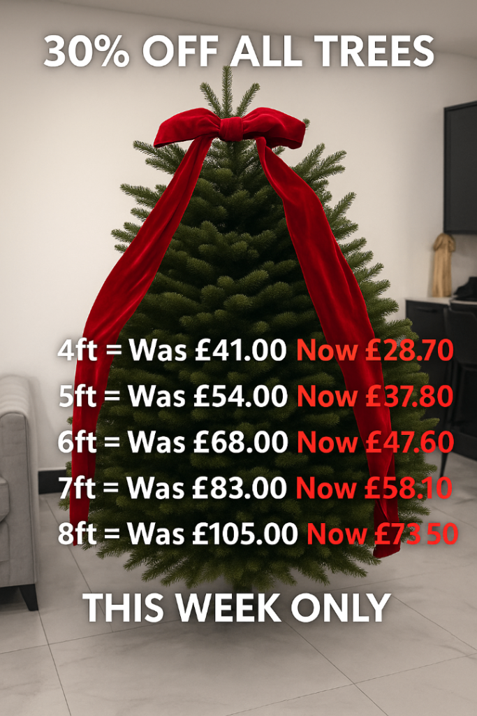 🎄Christmas Tree Sale – 15% OFF All Sizes!