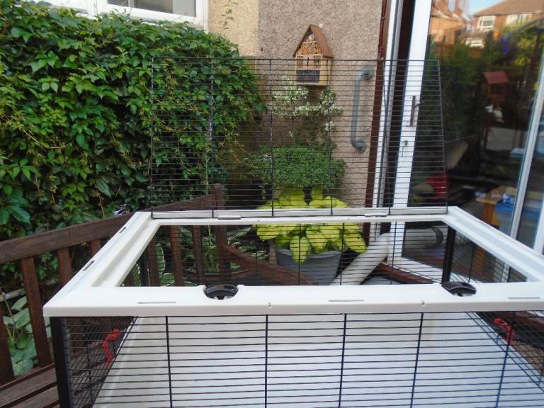 used hamster/small animal cage