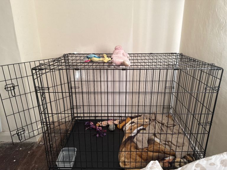 Dog crate