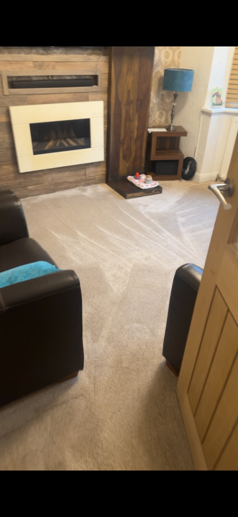 Carpet and Upholstery Cleaner 