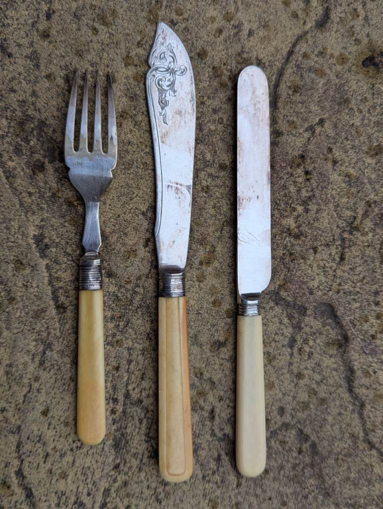 A selection of 12 bone handled knives and forks. 