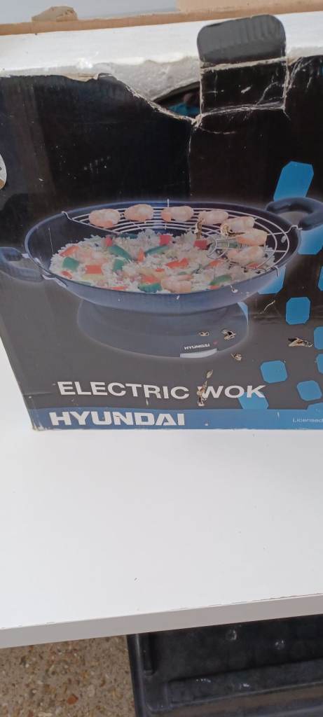 ELECTRIC WOK 