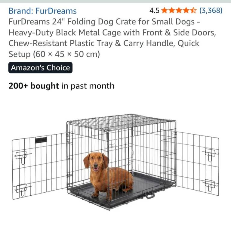 Small dog creat