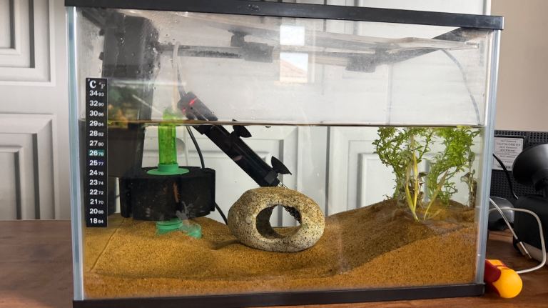 Fish tank with all bits included 