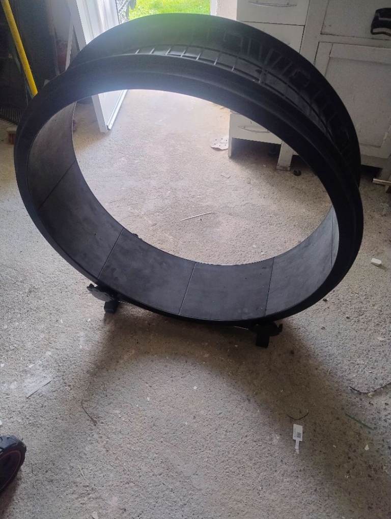 Cats running wheel 