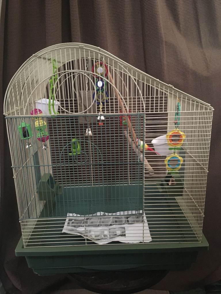 Bird Cage with toys