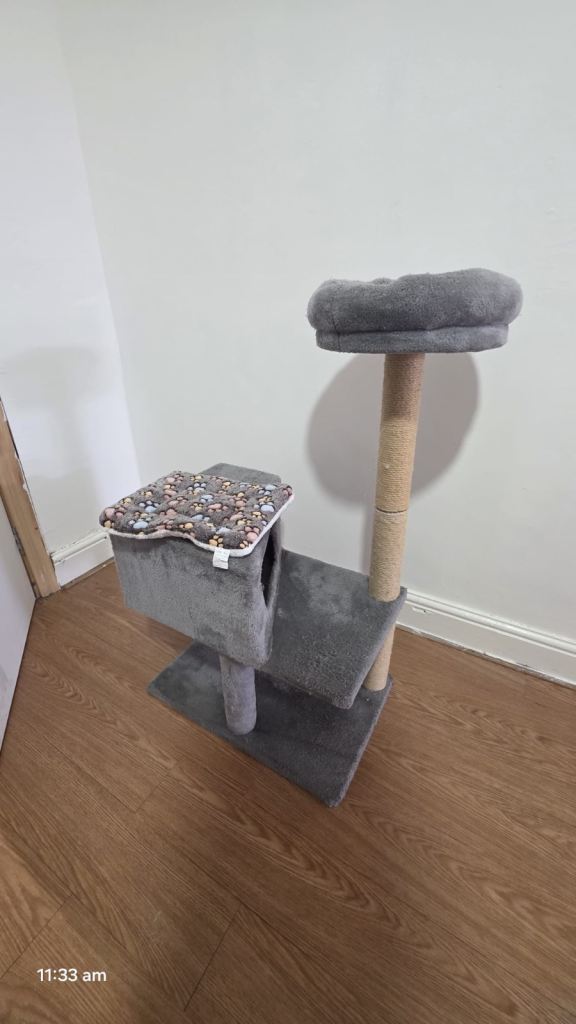 Large cat house 