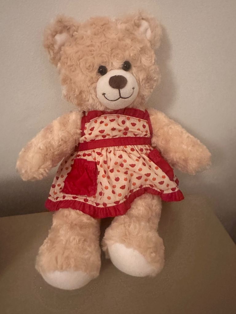 Build-A-Bear Teddy Bear with Dress – Good Condition