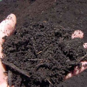 Topsoil- turfbase - rootzone BS3882 certified