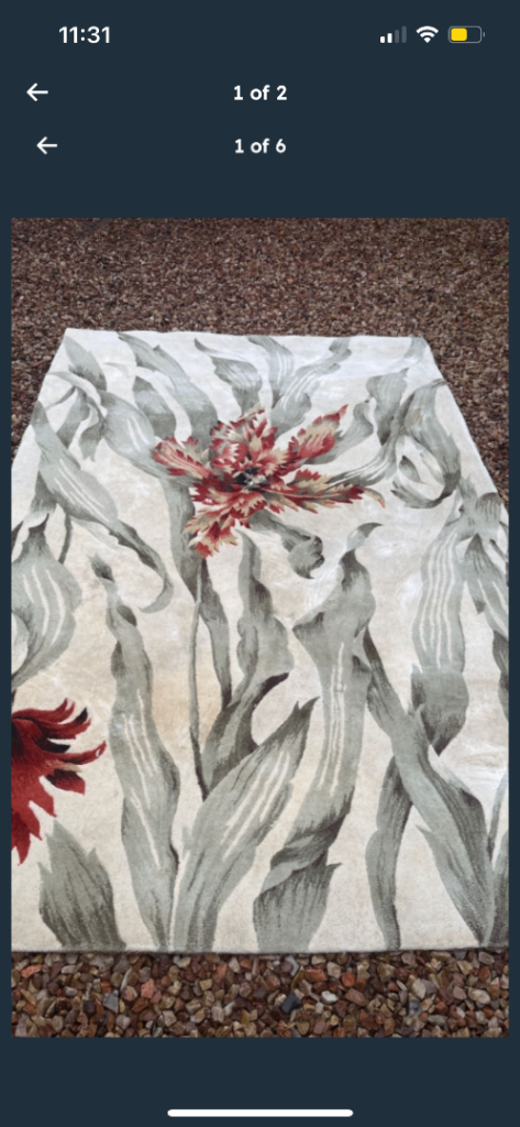 image for Topic pure wool rug  £125