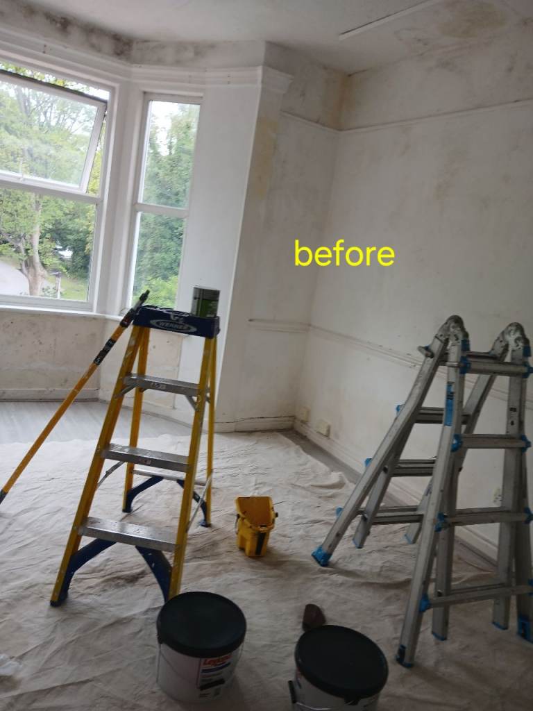 Painter&Decorator 
