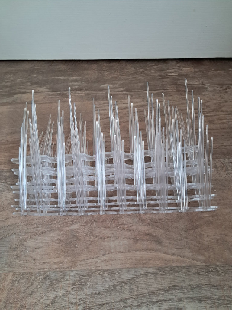 10 x Bird spikes for property