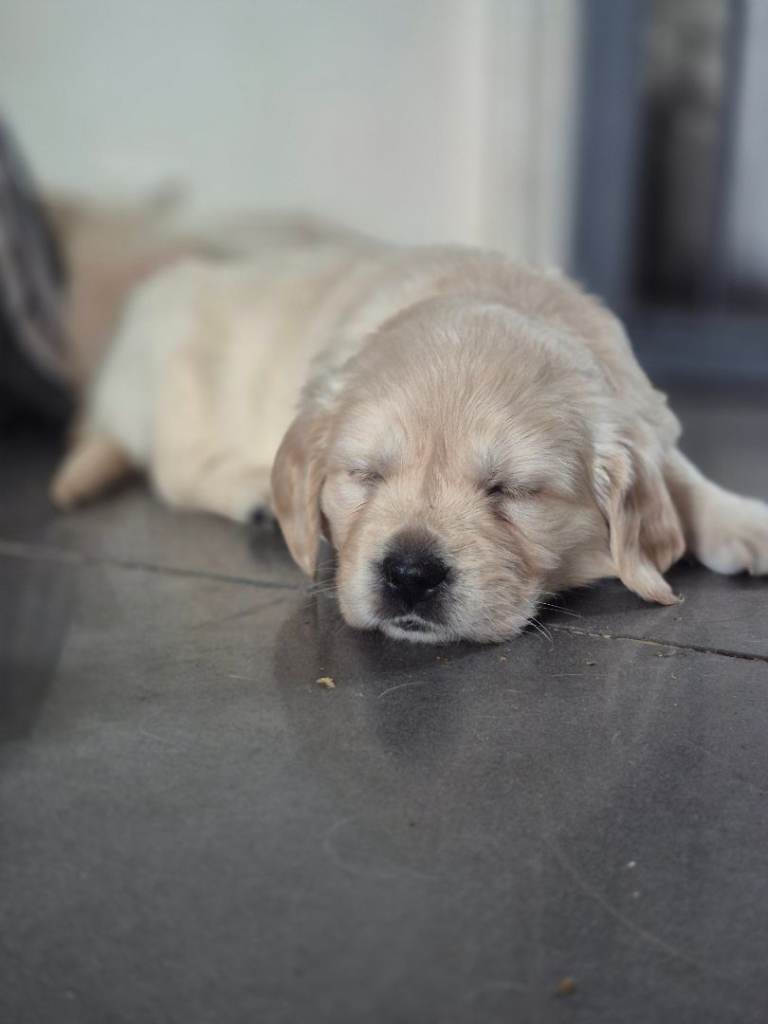 2 girls and 1 boy left 