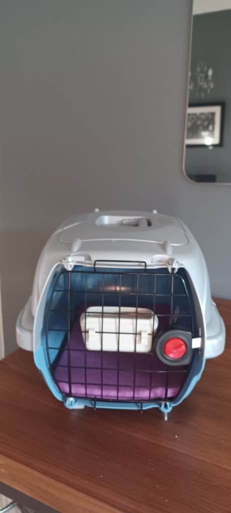 Pets at home pet carrier