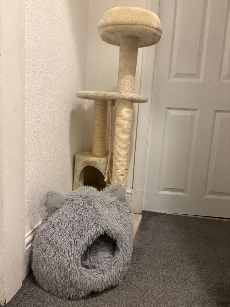 Cat items 