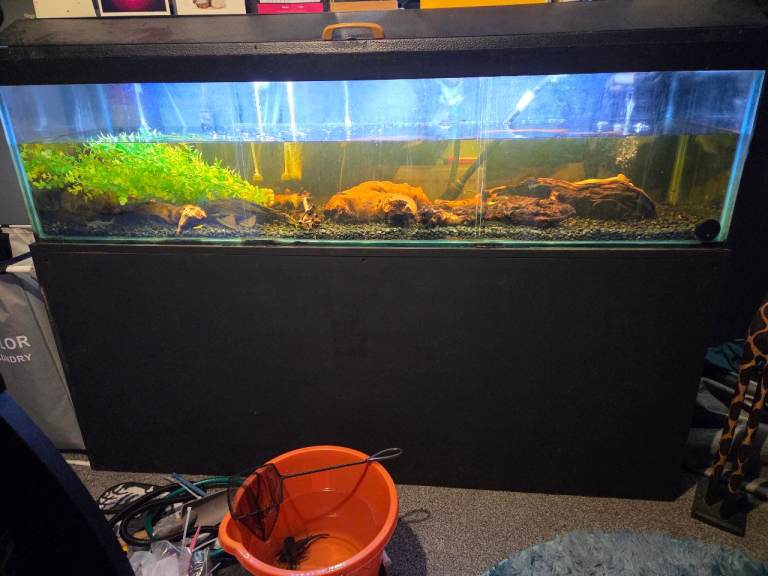 5ft aquarium plus extras!!