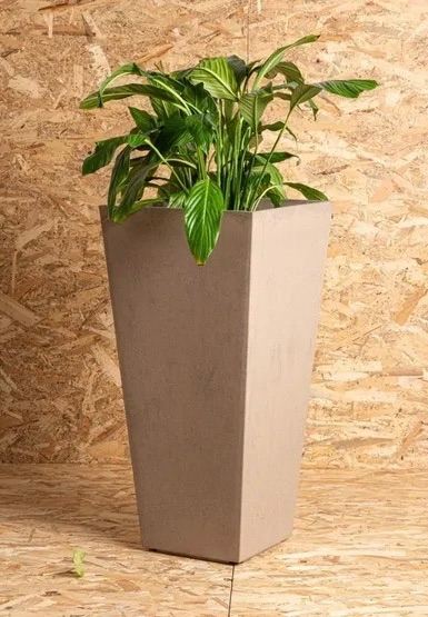 Sonata Planter 50cm Cappucino, RRP £34.99, 50% off! Collection available  