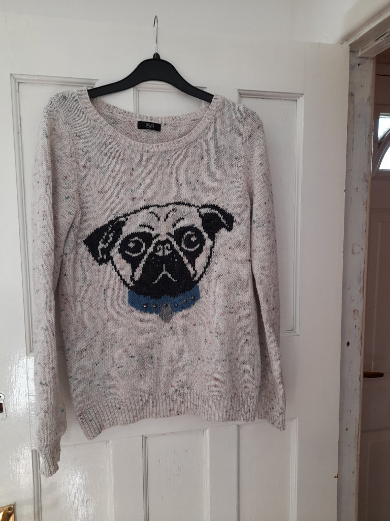 Ladies pug jumper size 6
