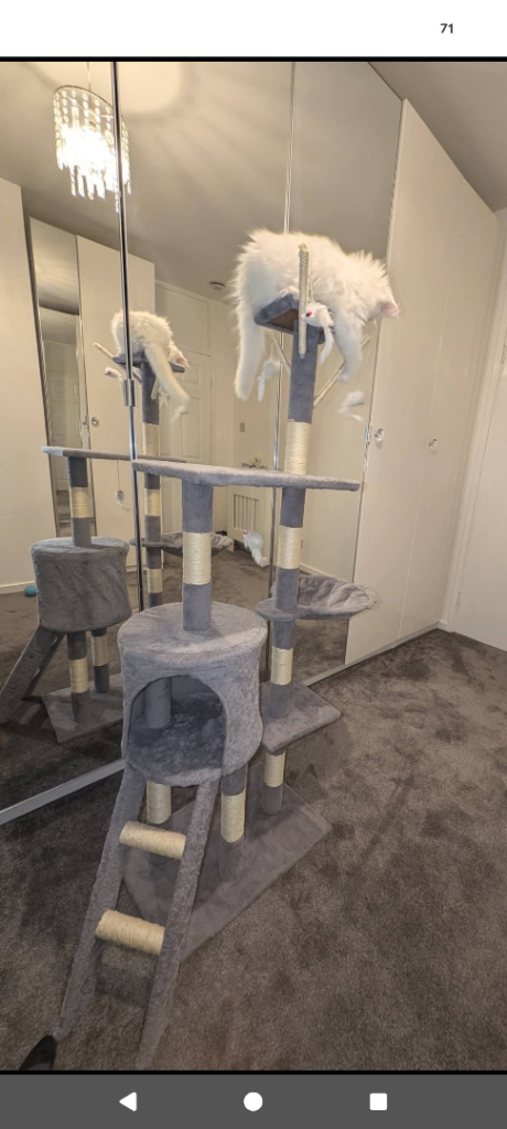 1 or 2 Grey cat tree /trees £25 each or both for £40 