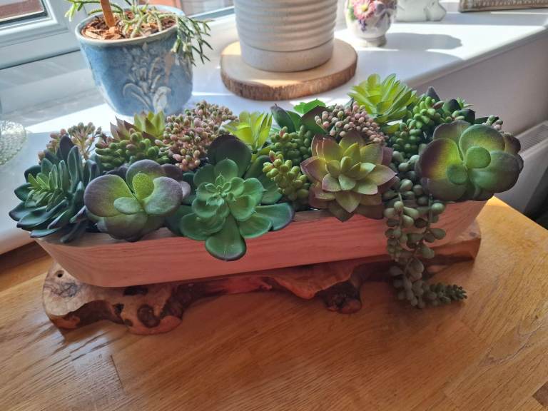 Artifficial plant succulents in wooden pott