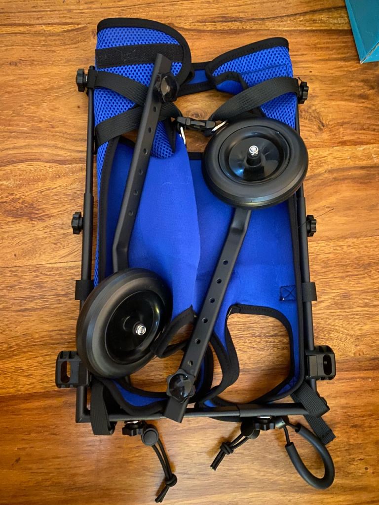 Dog mobility / back leg support