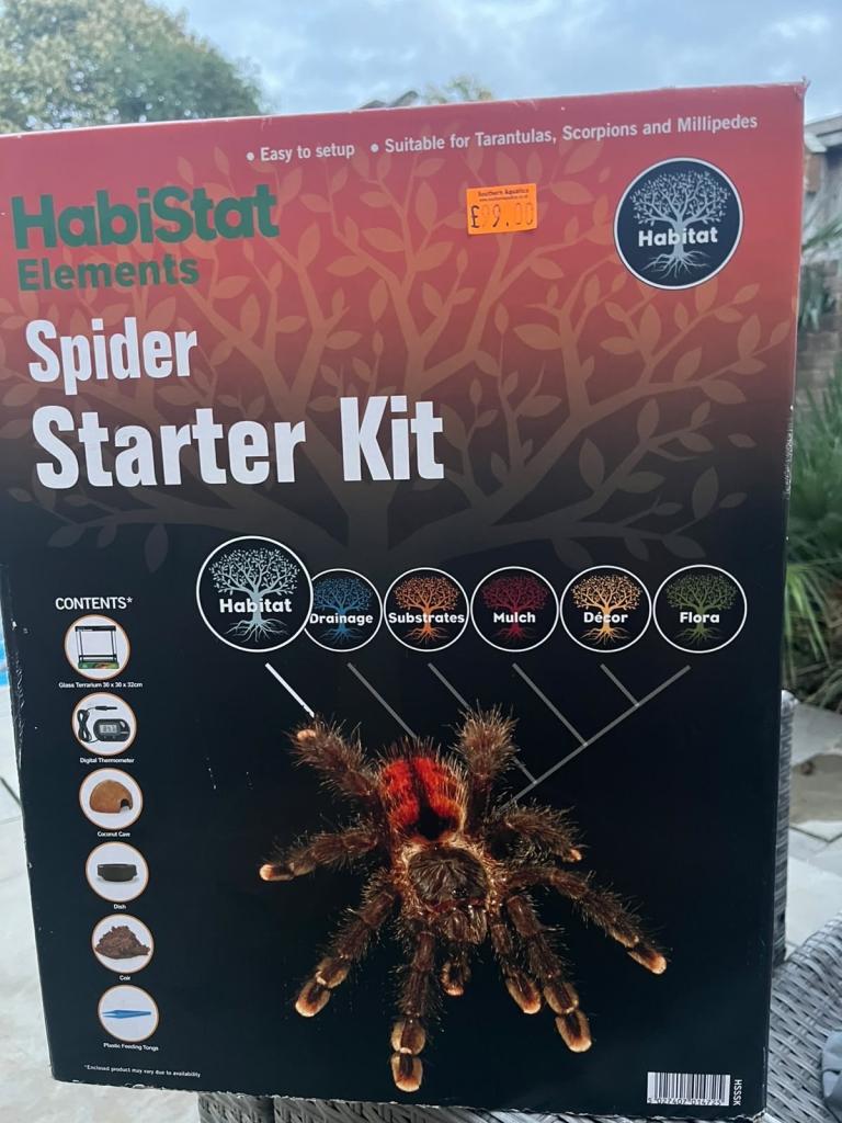 Spider set up 