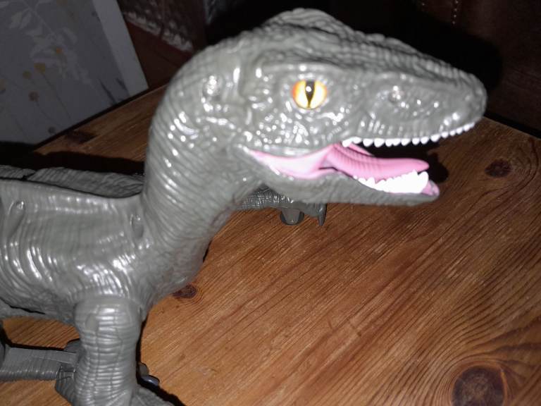 Radio Controlled Dinosaur Velociraptor