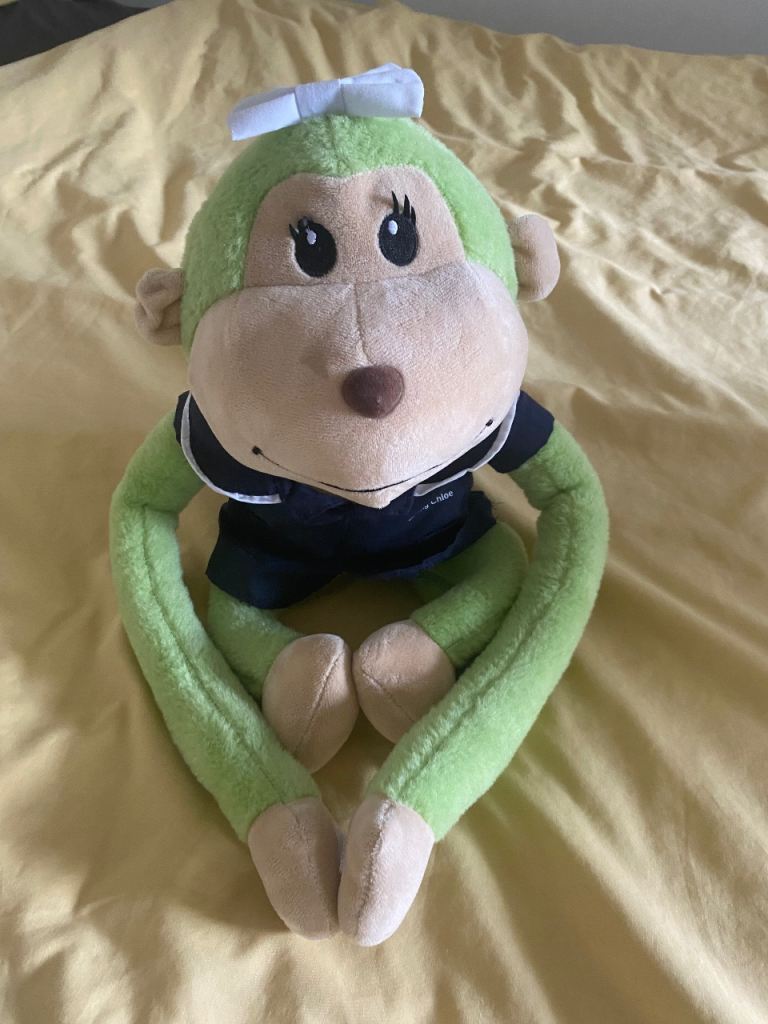 Monkey toy nurse 