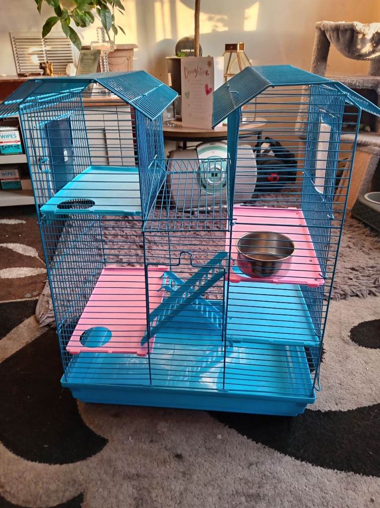 Hamster cage 