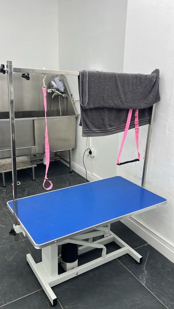 Groom Professional Ht1100 Hydraulic Dog Grooming Table