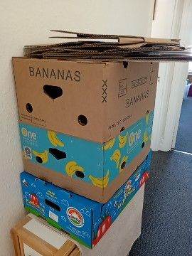 Cardboard boxes