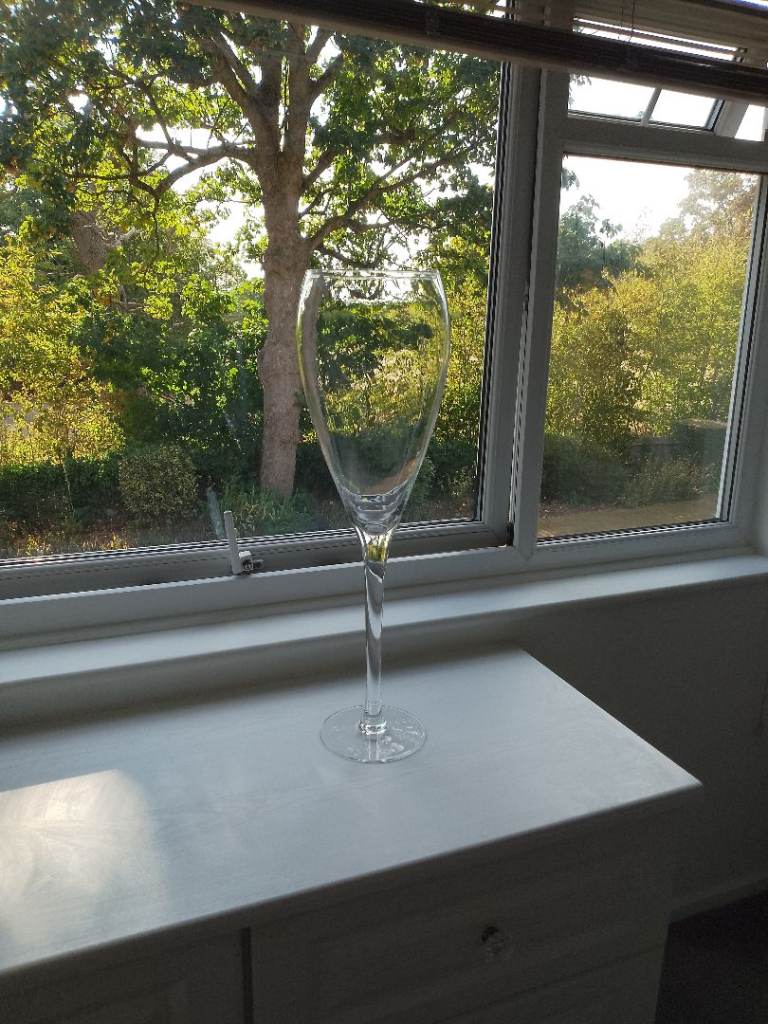 Large Clear Glass Giant Wine Glass - Home Decor/Display