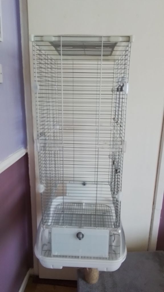 Large bird cage 