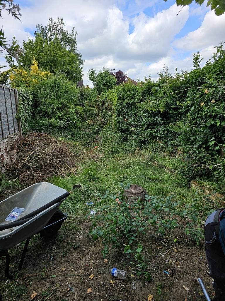 JUNGLE CLEARENCE & GARDEN CLEARENCE GREEN COLECTWHER NO ACCES WILL  MAKE THE ACCES