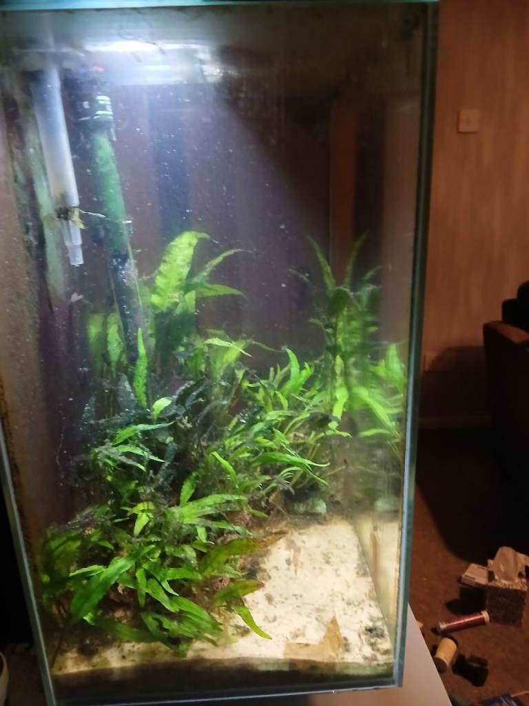 Fluval edge 46l aquarium