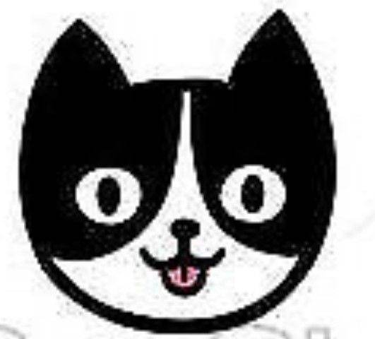 Medium to long term - house-sitting, cat-sitter, free service