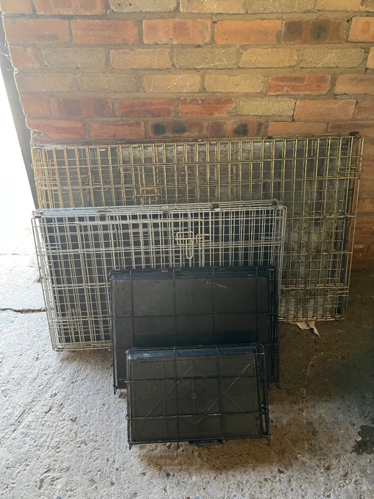 Dog Crates