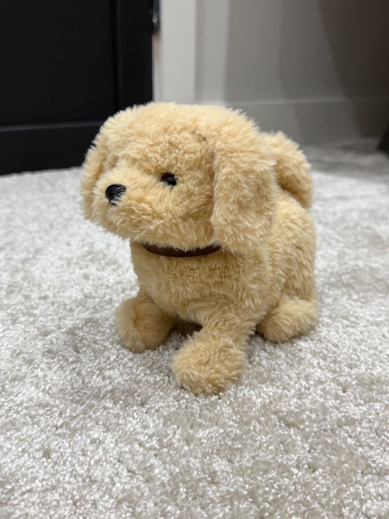 Walking dog kids toy 