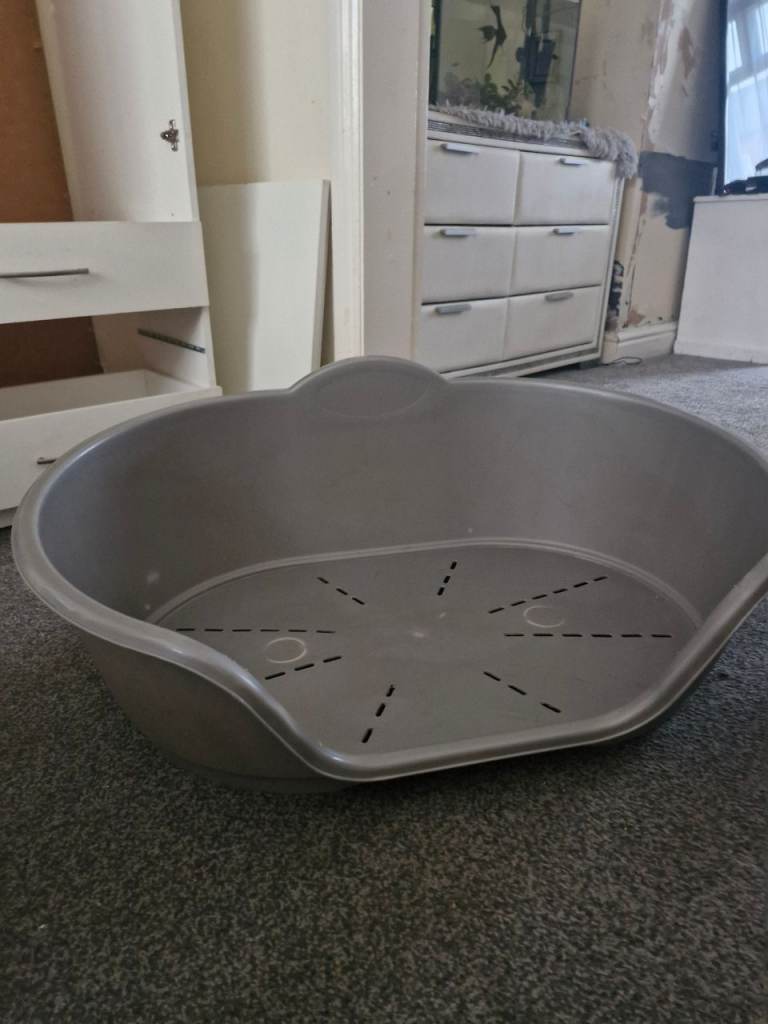 Large grey plastic dog bed