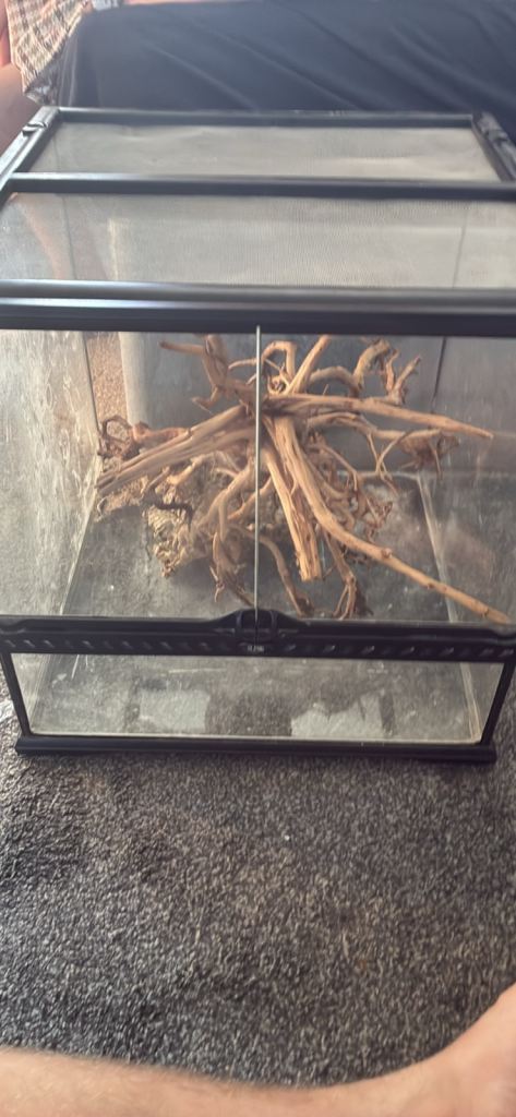 Vivarium perfect for crested geckos and leopard geckos exo terra 