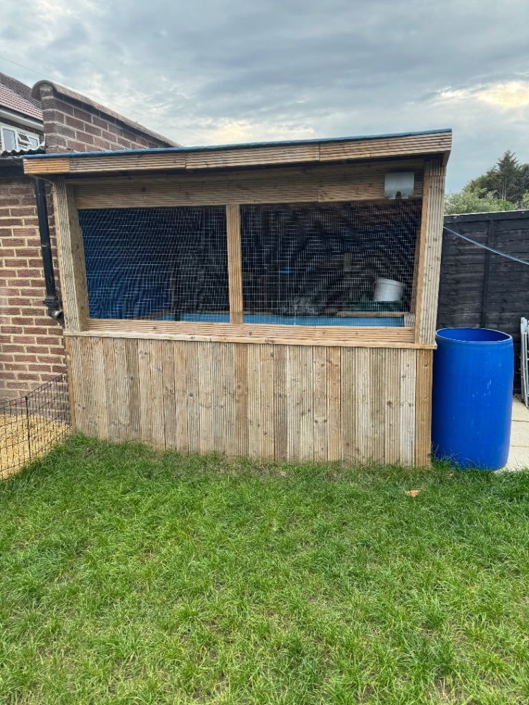 Fish pond, filters and koi, carp, goldfish