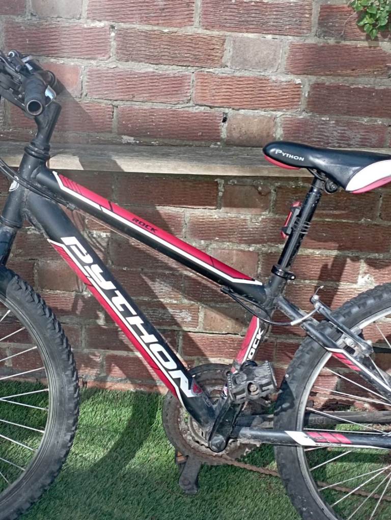 Python bike 24 inch wheels