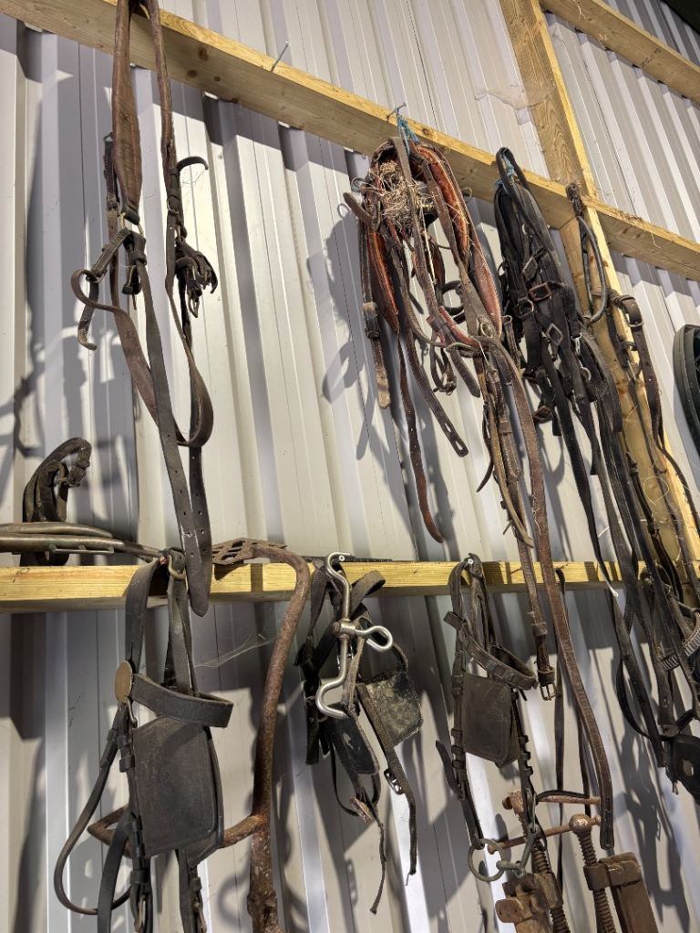 Job lot of horse harness bits and other bits