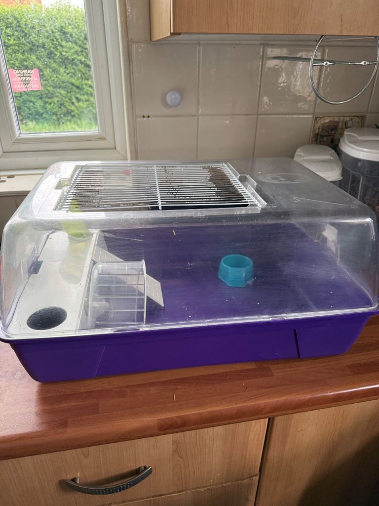 Dwarf hamster cage and accessories 