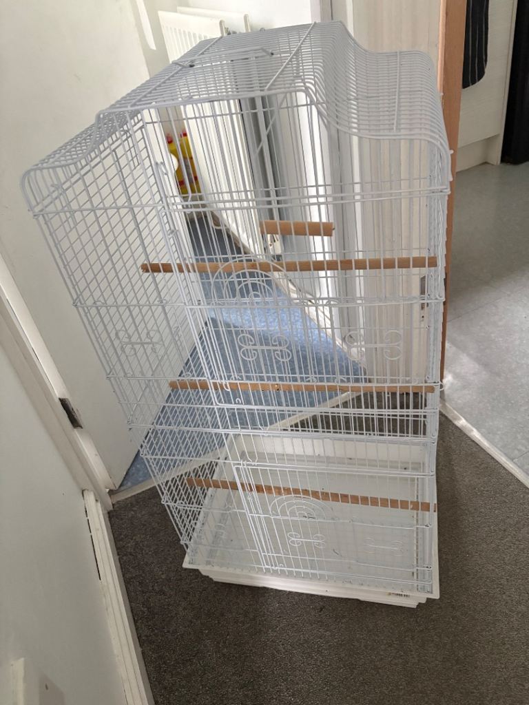 Bird cage