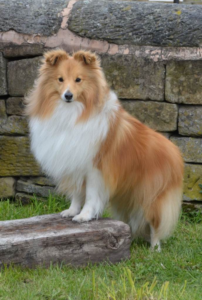 Theatre Tickets for Matilda the Musical (Playhouse Ediburgh)