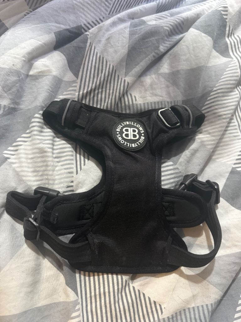 Dog harness 